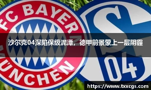 沙尔克04深陷保级泥潭,德甲前景蒙上一层阴霾