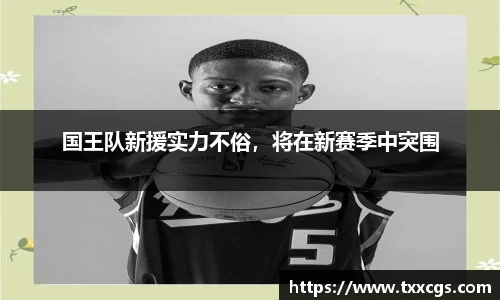 国王队新援实力不俗，将在新赛季中突围